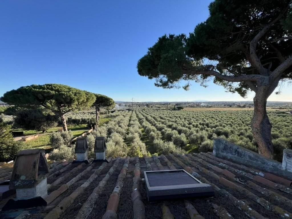 Villa a Cecina - Foto 4