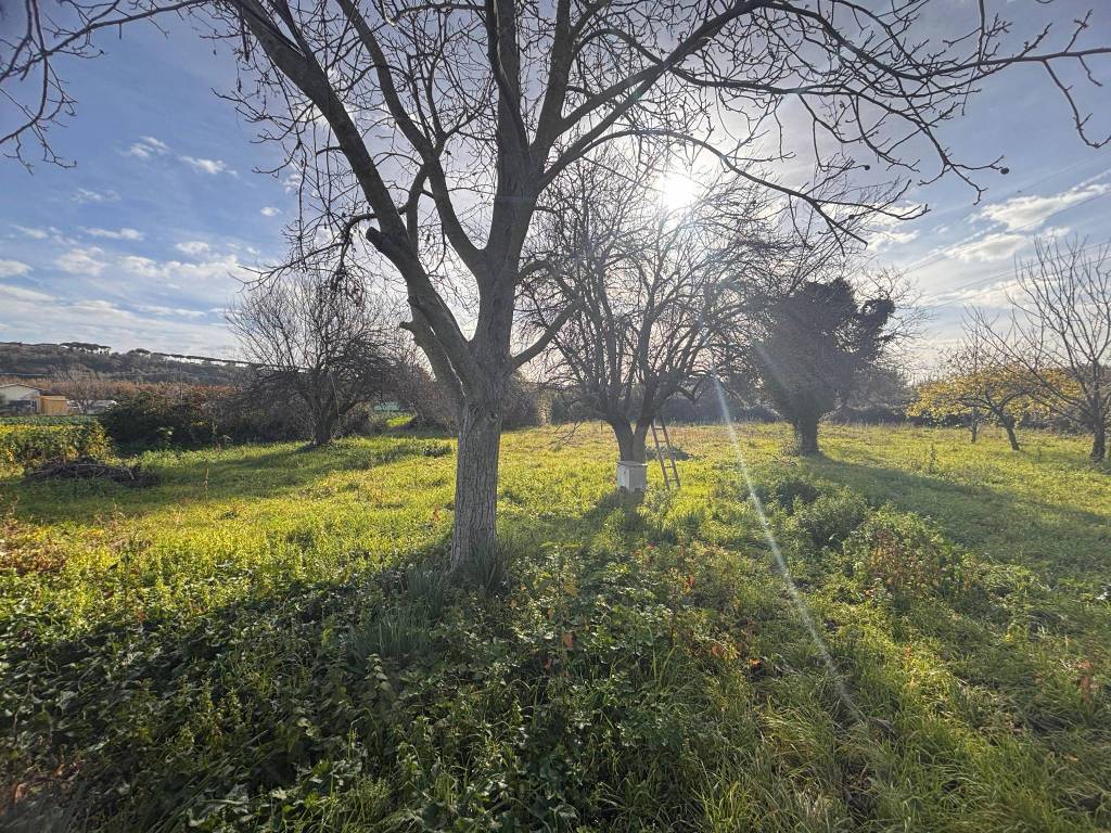 Terreno a Ariccia in Vicolo degli Orti - Foto 4