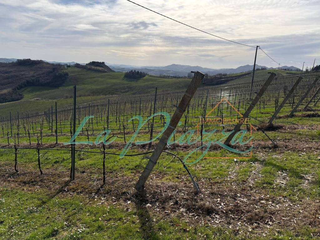 Terreno a Riolo terme in Via Caduti di Toranello, 22 - Foto 2
