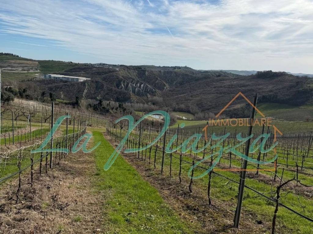 Terreno a Riolo terme in Via Caduti di Toranello, 22 - Foto 4