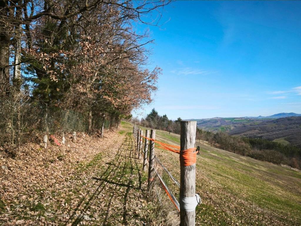 Terreno a Neviano degli arduini in strada le Mole - Foto 3
