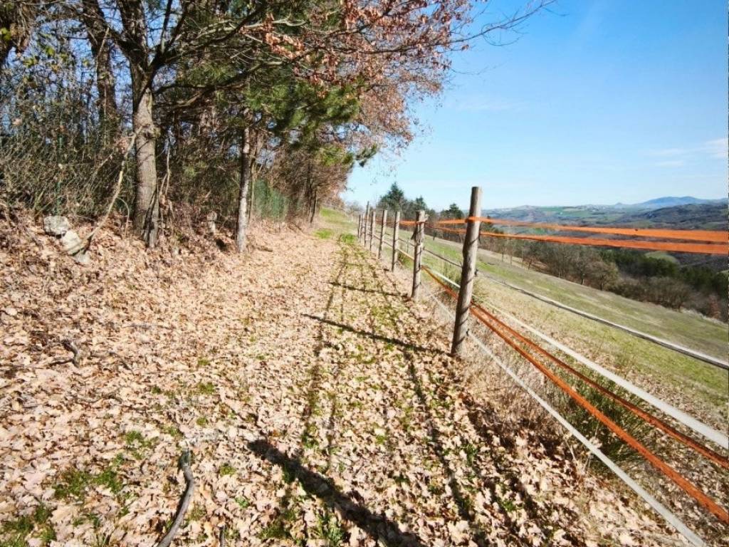 Terreno a Neviano degli arduini in strada le Mole - Foto 4