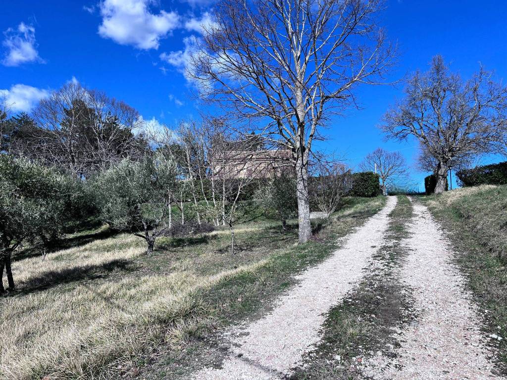 Villa a San ginesio - Foto 2