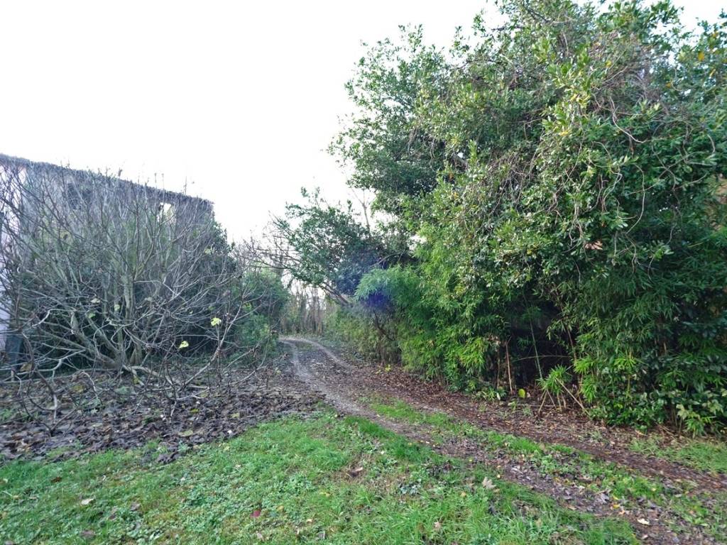 Rustico / casale a Mozzecane in Via delle Risorgive - Foto 4