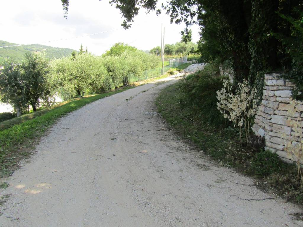Terreno a Negrar di valpolicella in Via Proale - Foto 5