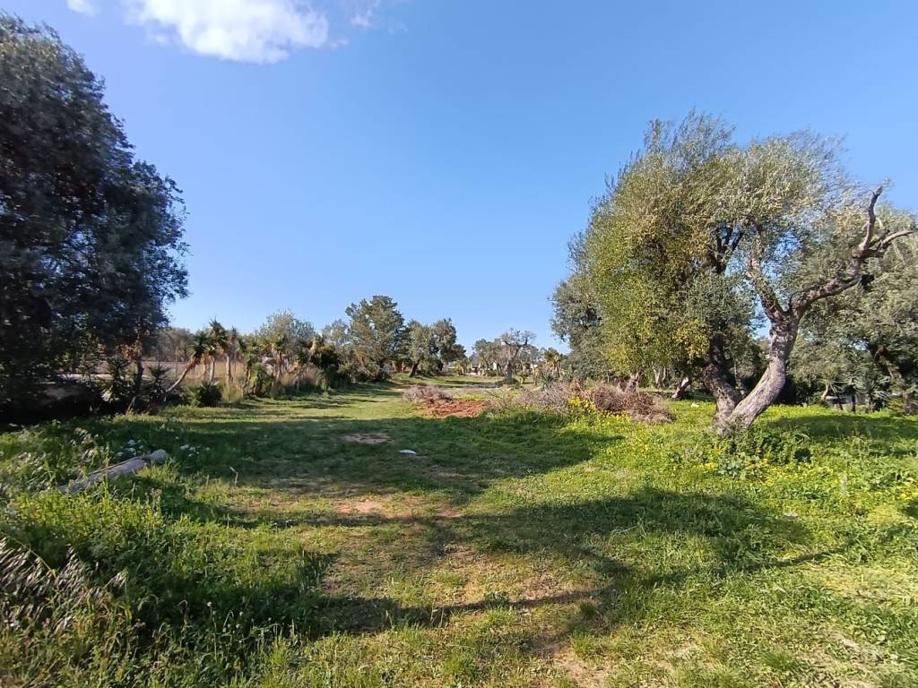 Terreno a Ostuni in Via Herbert - Foto 4