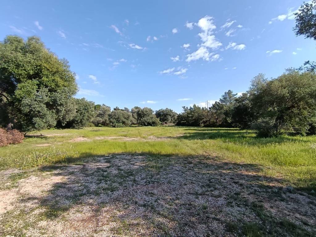 Terreno a Ostuni in Via Herbert - Foto 5