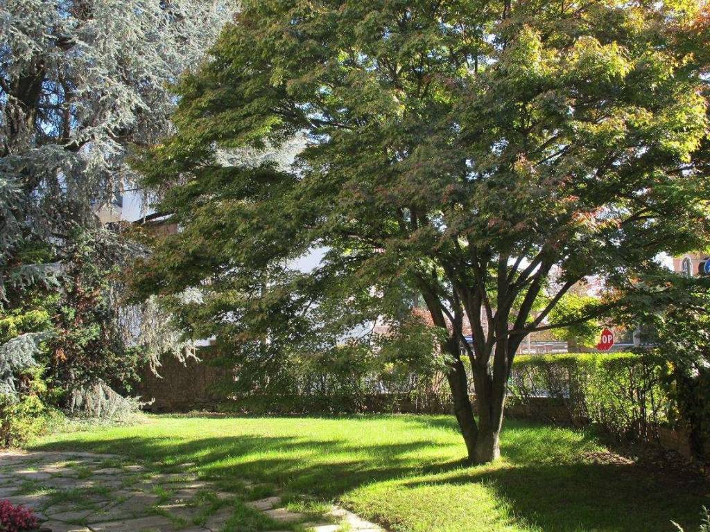 Villa a Ciriè in via Piave, 9 - Foto 3