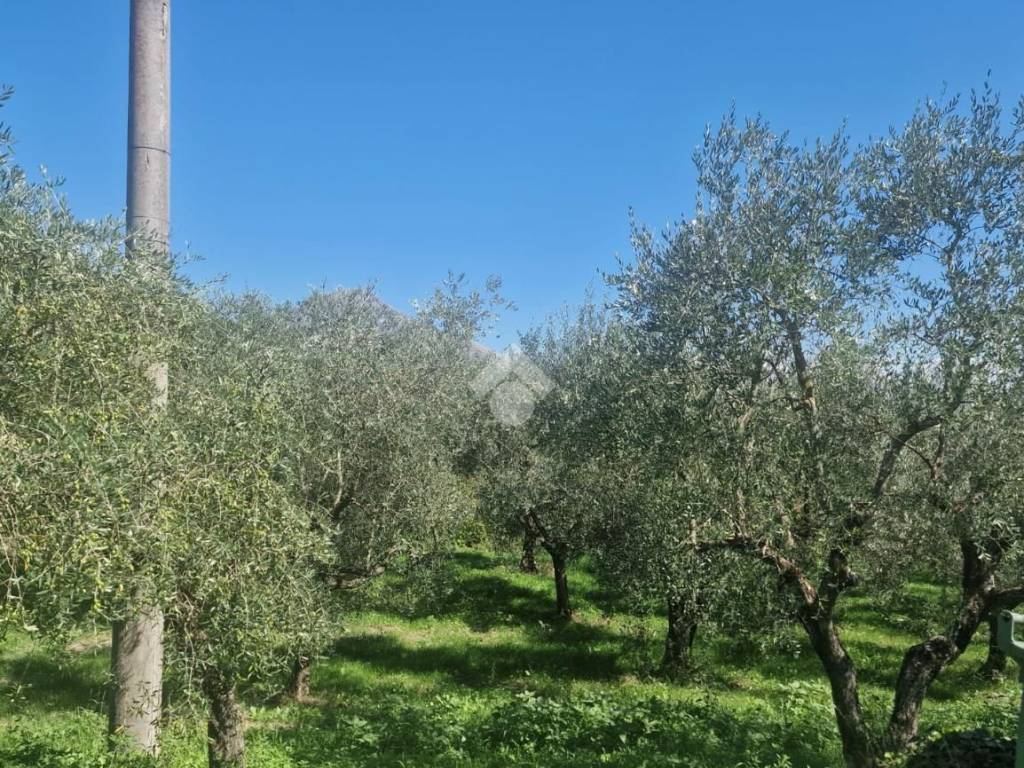 Casa indipendente a Vitulano in Via ficarola - Foto 5