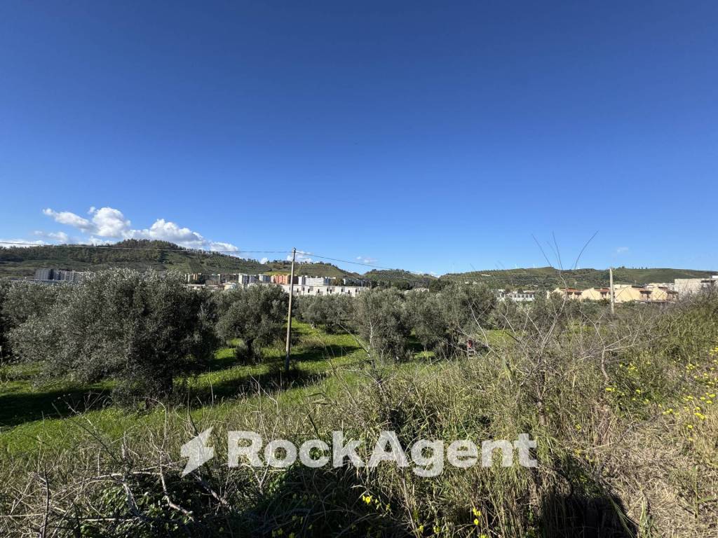 Terreno a Catanzaro in Viale Magna Grecia - Foto 5