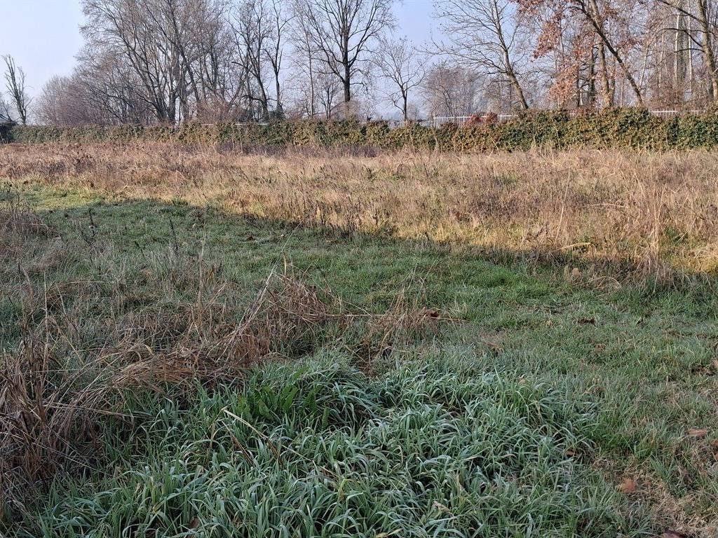 Terreno a Pognano - Foto 2