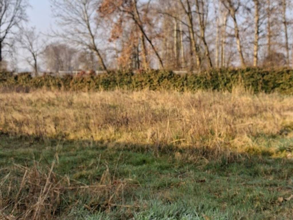 Terreno a Pognano - Foto 3