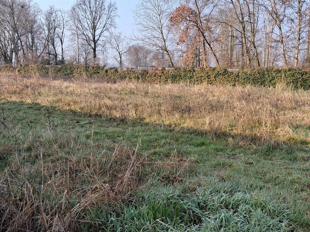Terreno a Pognano - Foto 4