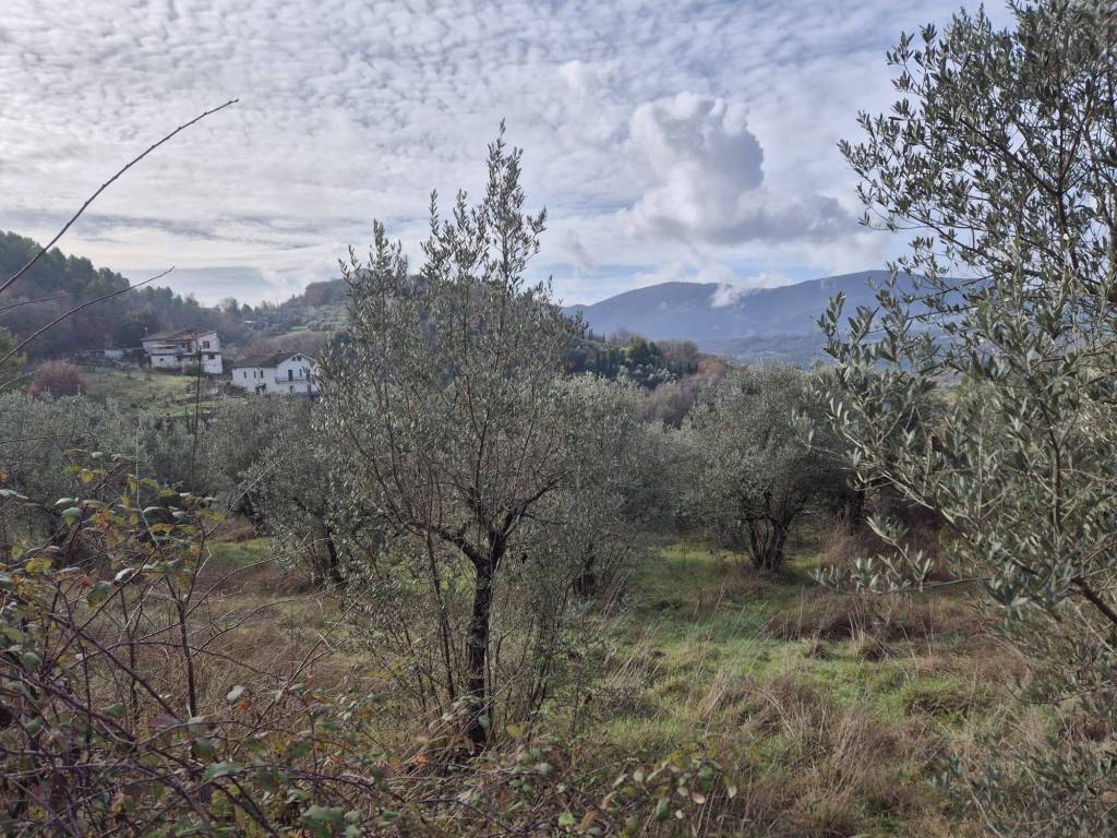 Terreno a Stroncone in Colle Perugino - Foto 2