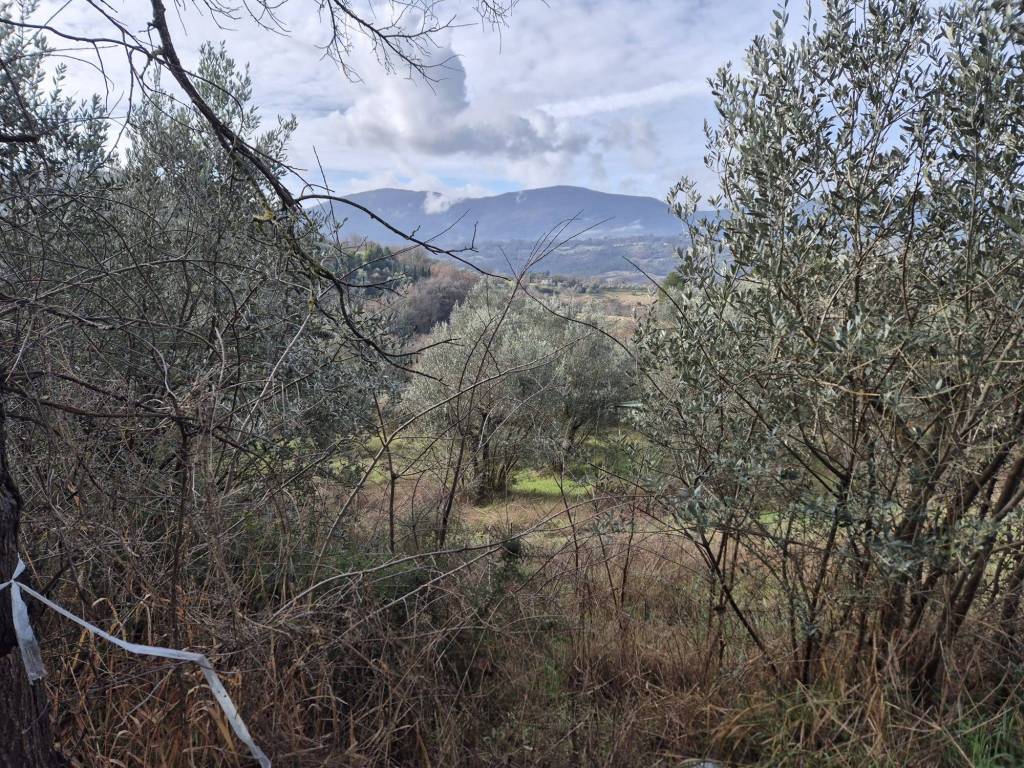 Terreno a Stroncone in Colle Perugino - Foto 5