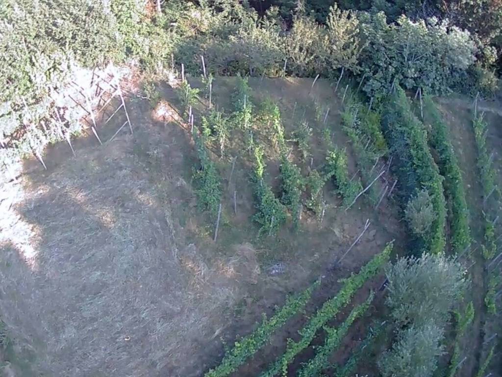 Terreno a Calice ligure in Località Cà De Cia - Foto 4