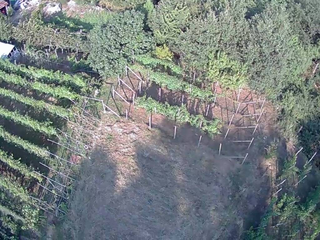 Terreno a Calice ligure in Località Cà De Cia - Foto 5