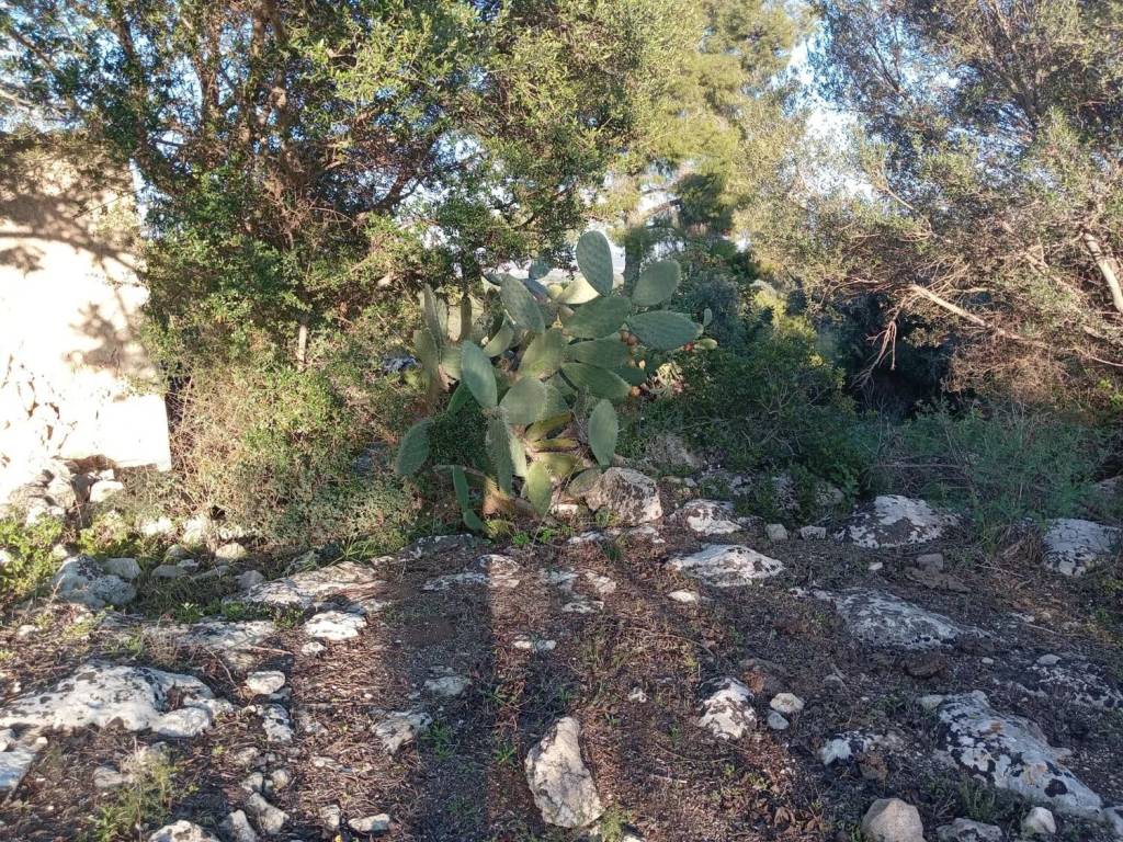 Terreno a Noto in Testa Dell'Acqua - Foto 4