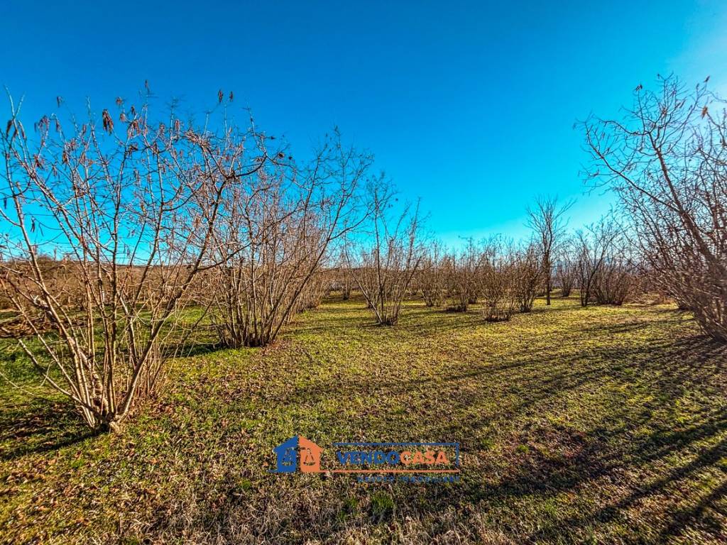 Terreno a Farigliano in Località Piancerreto - Foto 3