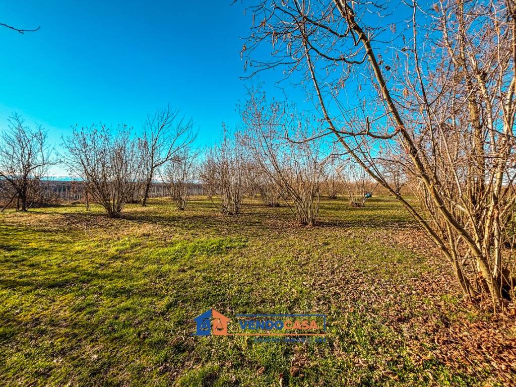 Terreno a Farigliano in Località Piancerreto - Foto 4
