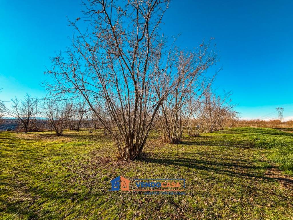 Terreno a Farigliano in Località Piancerreto - Foto 5