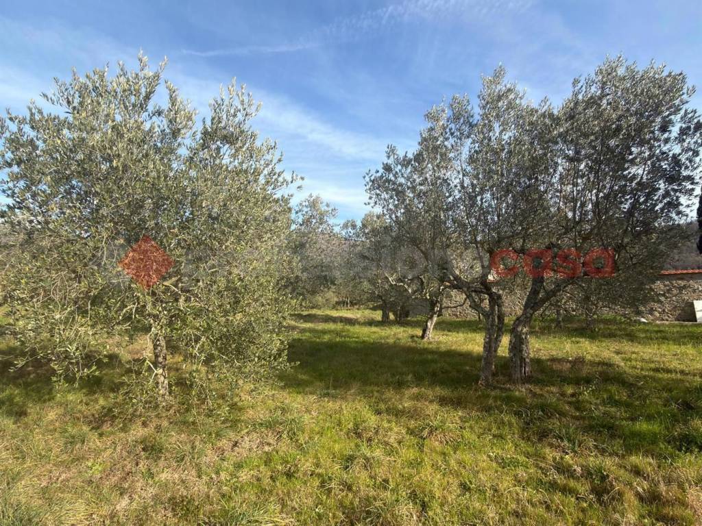 Terreno a Arezzo in Loc Rigutino , SNC - Foto 3