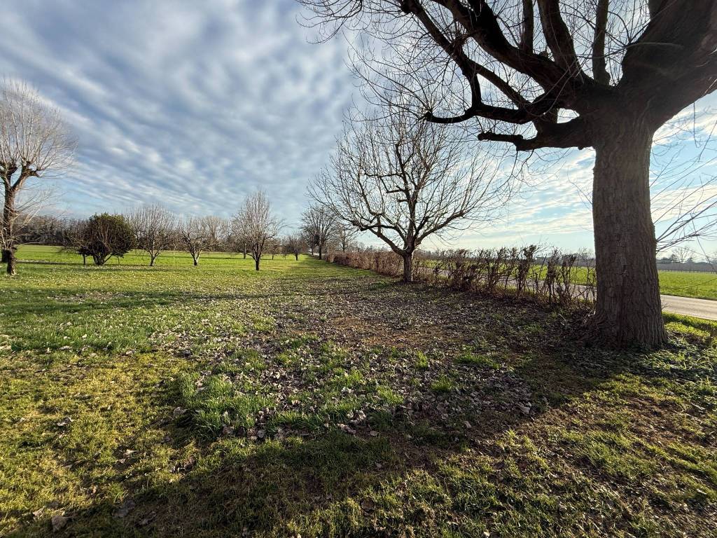 Rustico / casale a Modena in Strada Castelnuovo Rangone, 59 - Foto 5