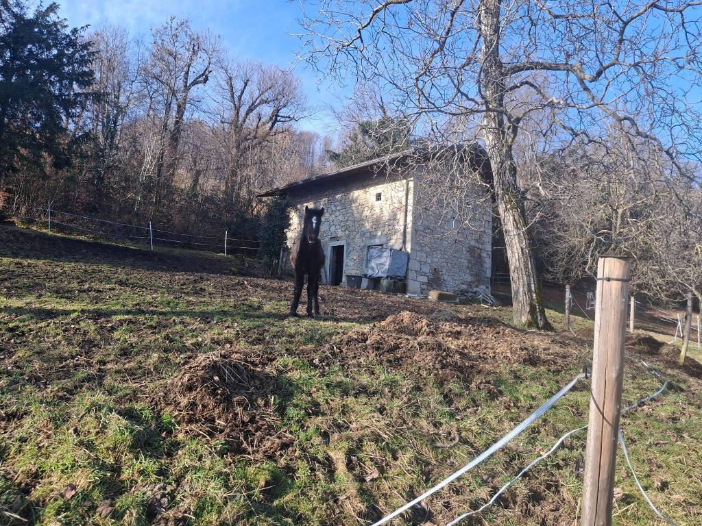 Rustico / casale a Roncola in Via Ca' Baetti, 5 - Foto 3