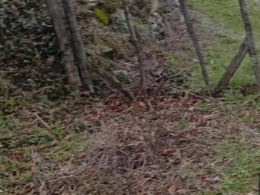 Terreno a Baronissi - Foto 4