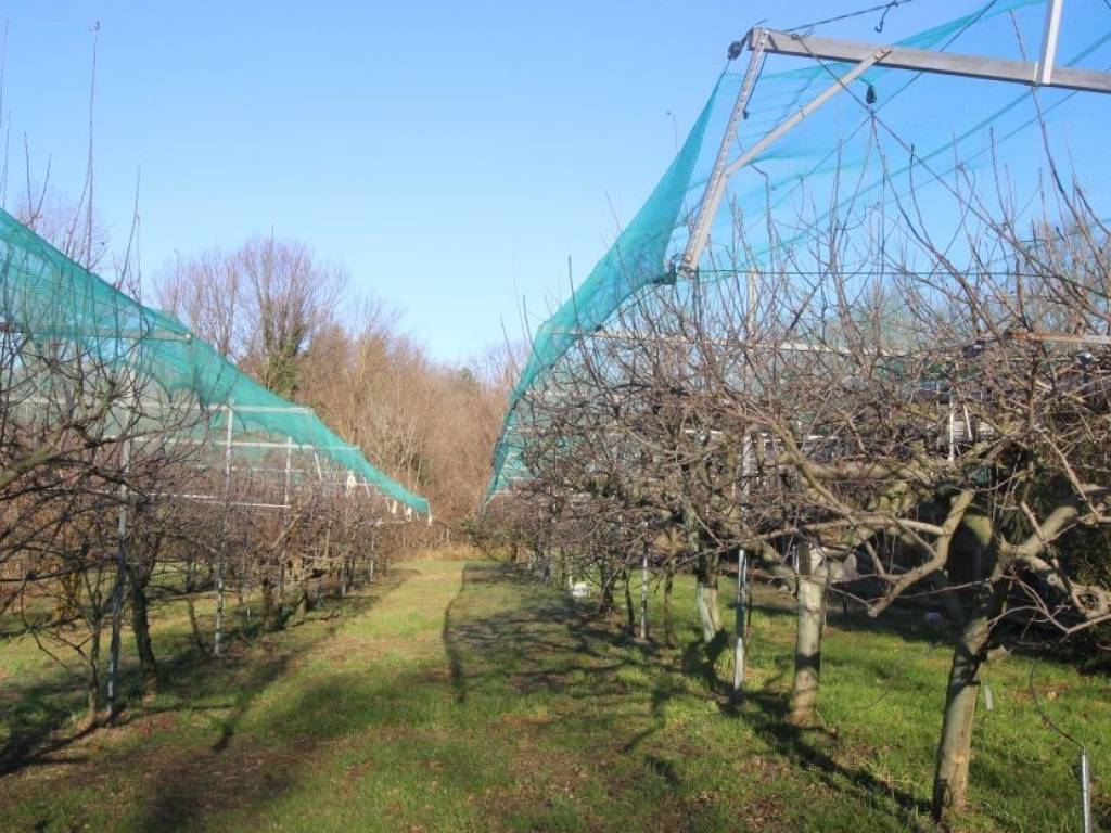 Terreno a Nibionno in Via Dottor Angelo Carpani - Foto 2