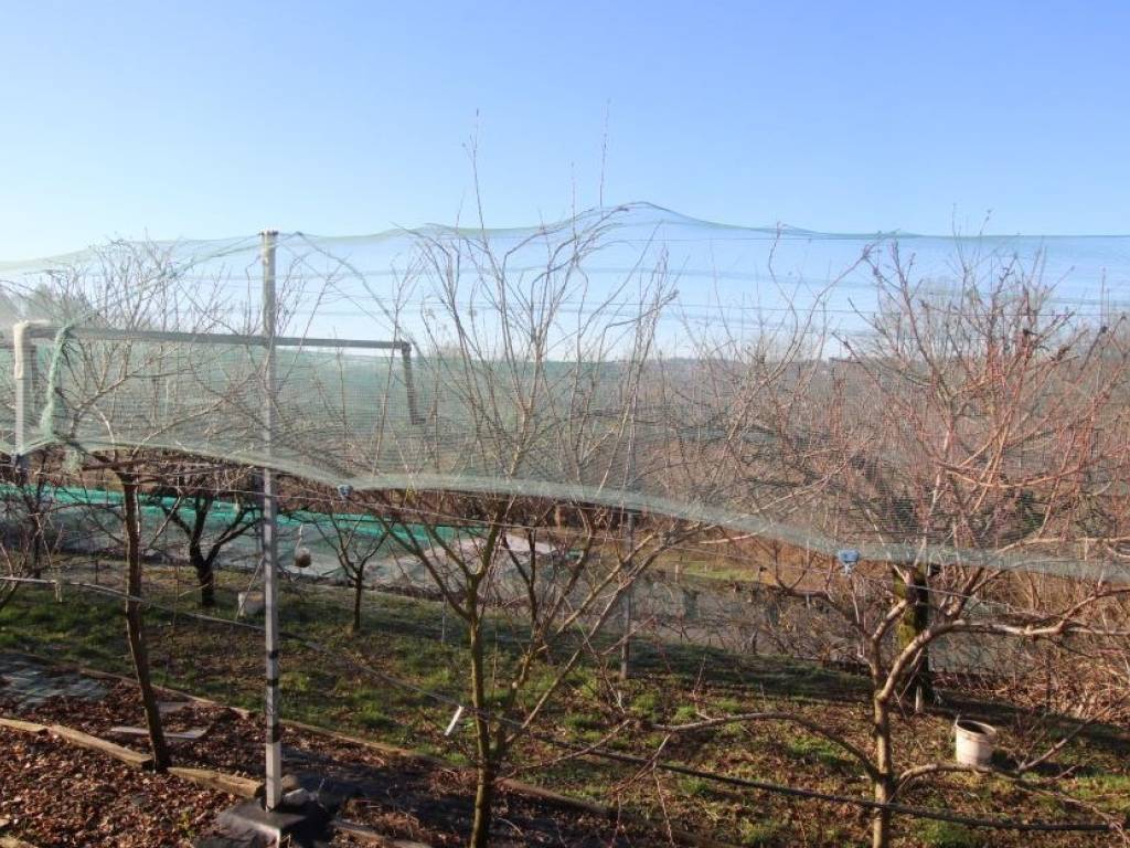 Terreno a Nibionno in Via Dottor Angelo Carpani - Foto 3