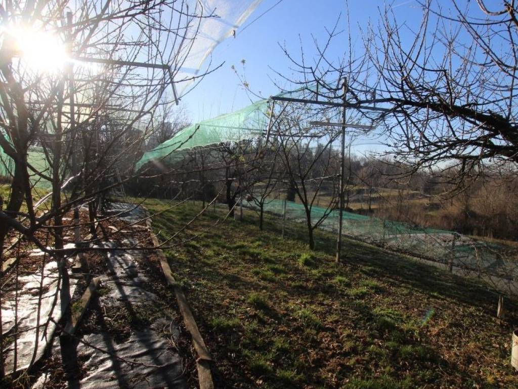 Terreno a Nibionno in Via Dottor Angelo Carpani - Foto 4