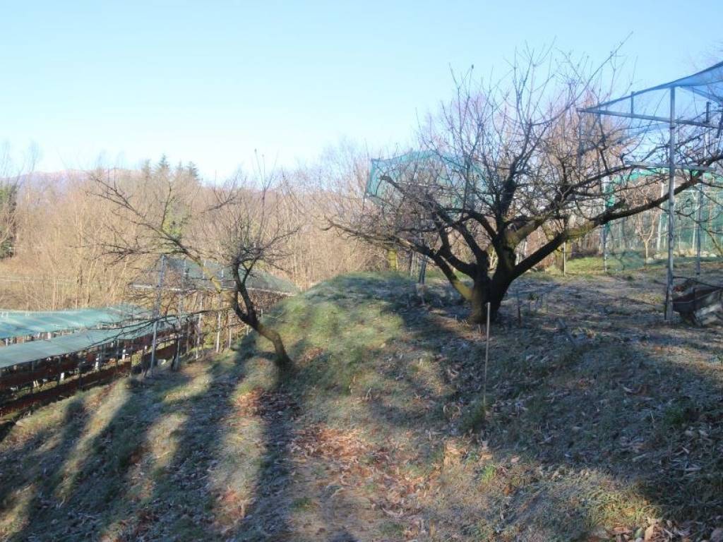 Terreno a Nibionno in Via Dottor Angelo Carpani - Foto 5