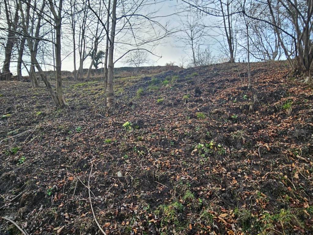 Rustico / casale a Nebbiuno - Foto 4