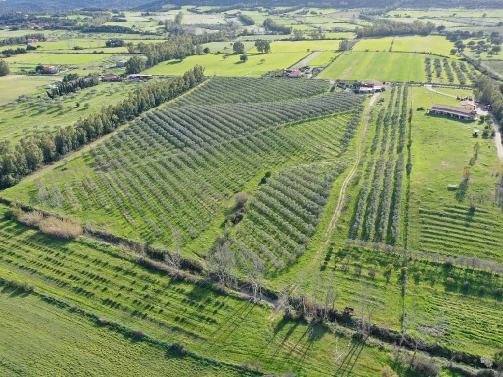 Terreno a Castiadas in loc sitò, 0 - Foto 2
