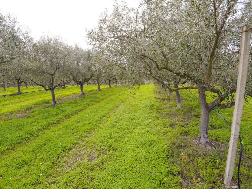 Terreno a Castiadas in loc sitò, 0 - Foto 4
