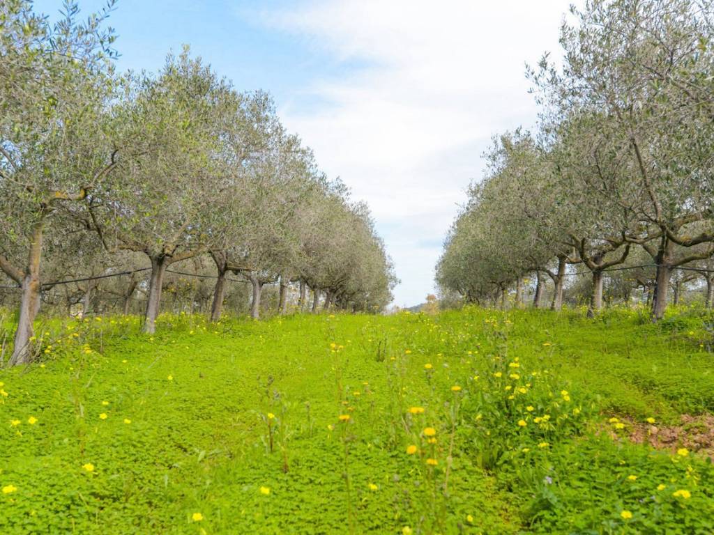 Terreno a Castiadas in loc sitò, 0 - Foto 5