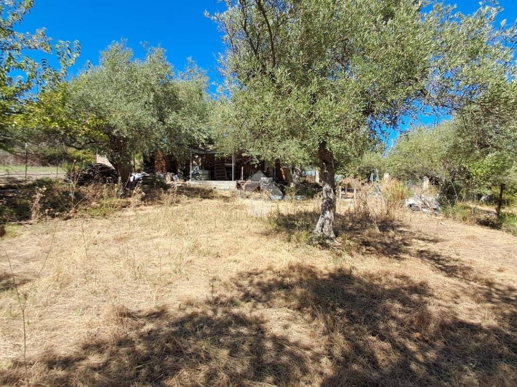 Terreno a Termini imerese in Contrada cotrevecchia - Foto 3