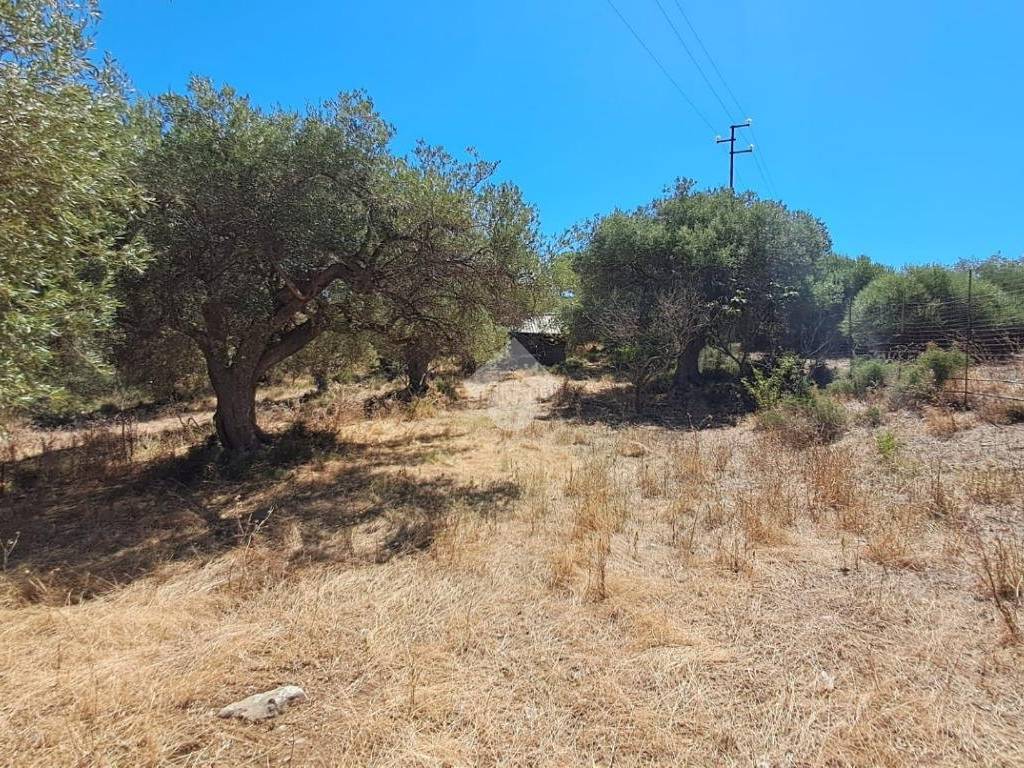 Terreno a Termini imerese in Contrada cotrevecchia - Foto 4