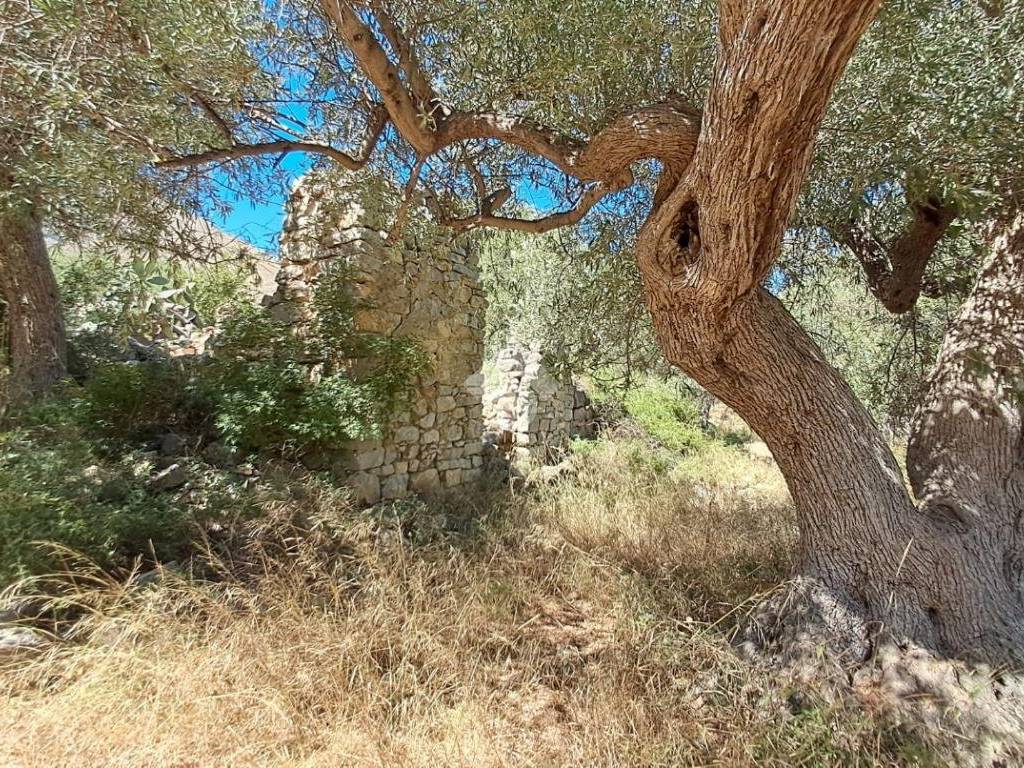 Terreno a Termini imerese in Contrada cotrevecchia - Foto 5