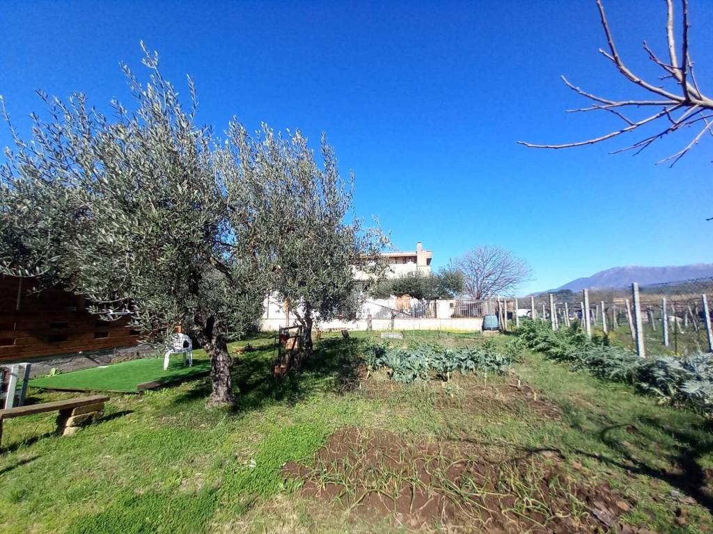 Rustico / casale a Tivoli in Via del Pescheto, 24 - Foto 3