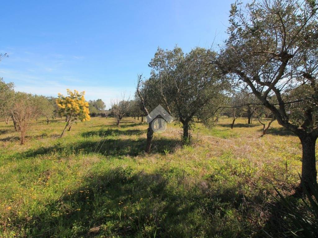 Villa a Ostuni - Foto 4
