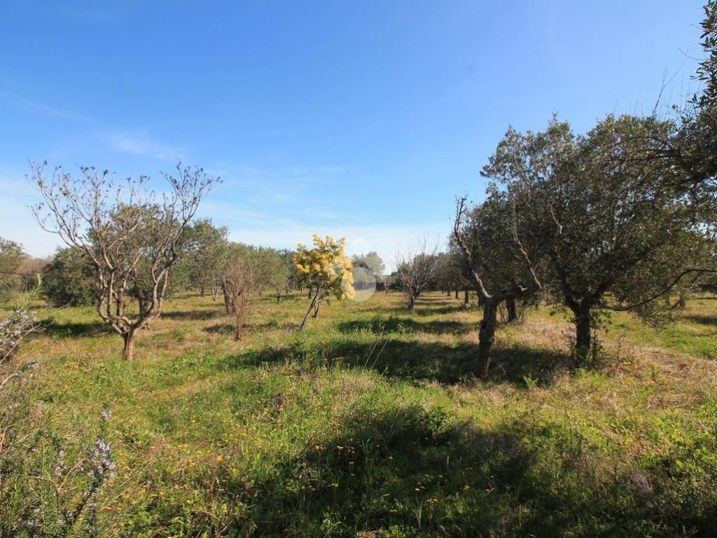 Villa a Ostuni - Foto 5