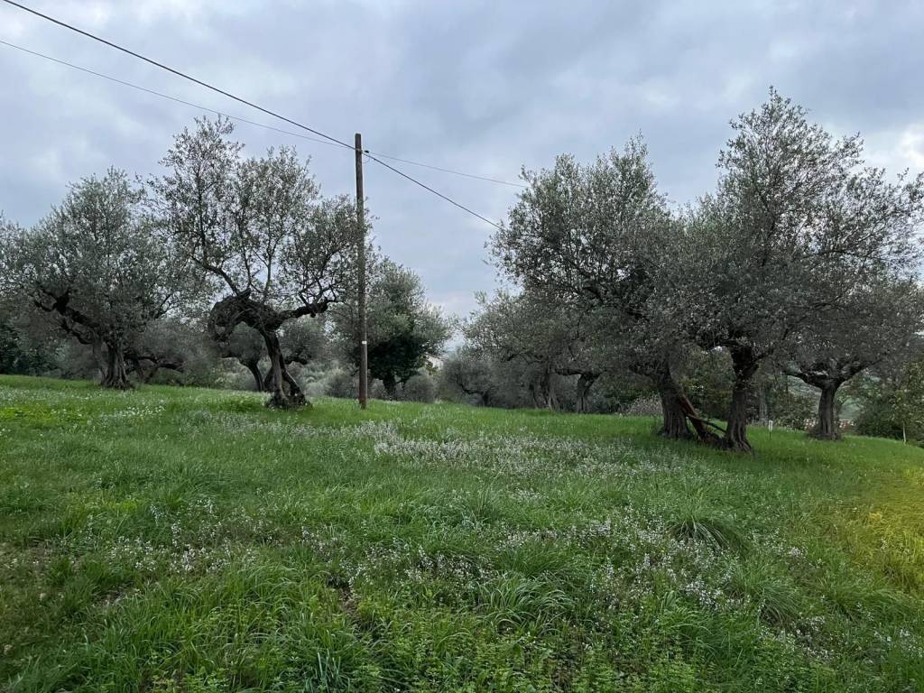 Terreno a Pianella - Foto 2
