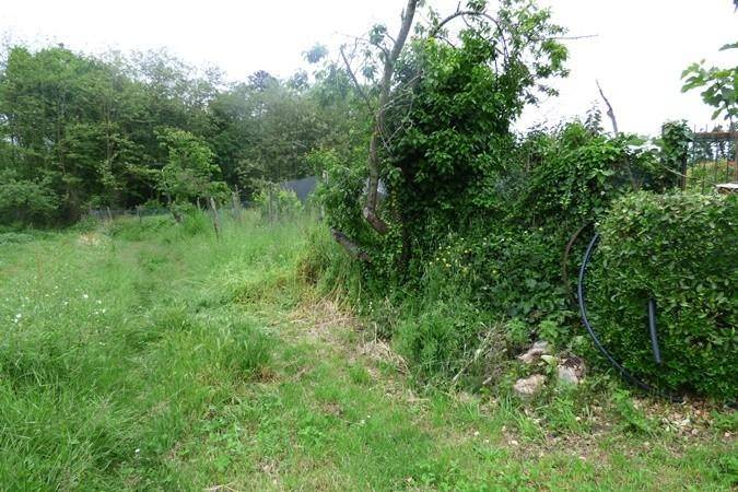 Terreno a Capannori - Foto 2