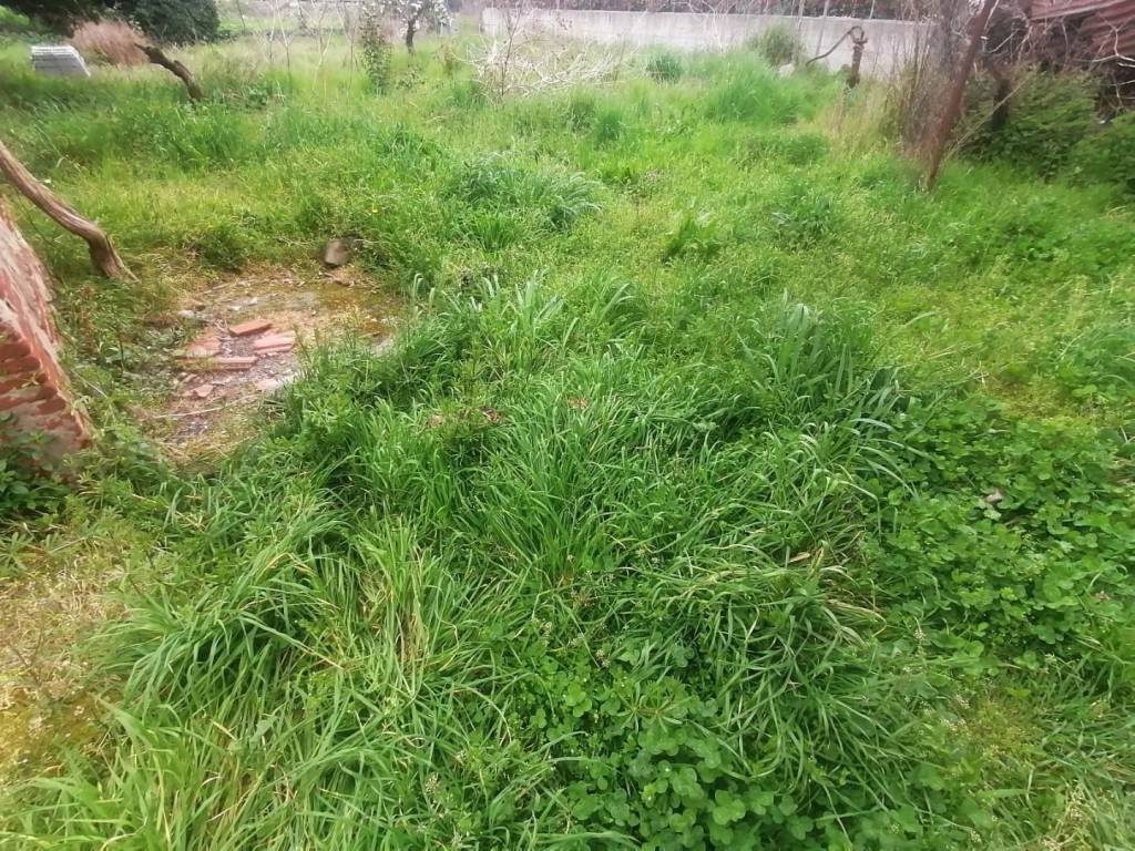 Rustico / casale a Capannori in Capannori LU - Foto 2