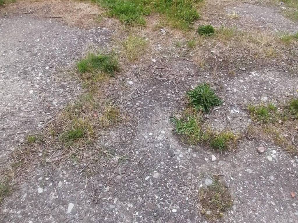 Rustico / casale a Capannori in Capannori LU - Foto 3