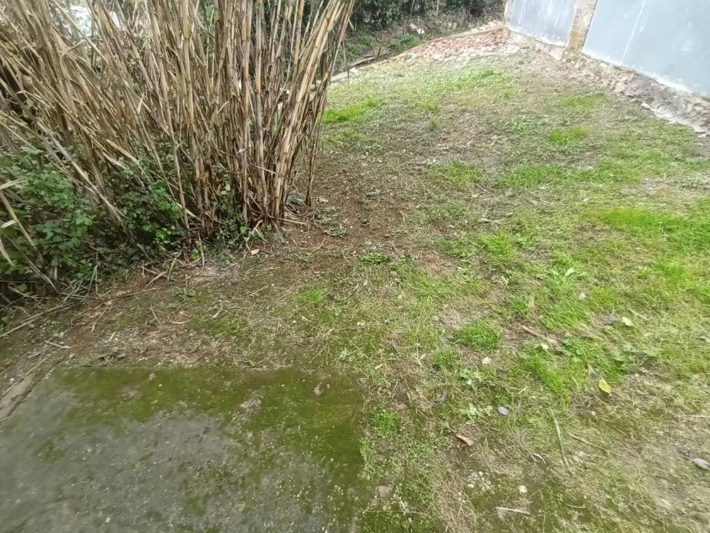 Casa indipendente a Lucca in Via Della Cappella, , 55100 - Foto 3