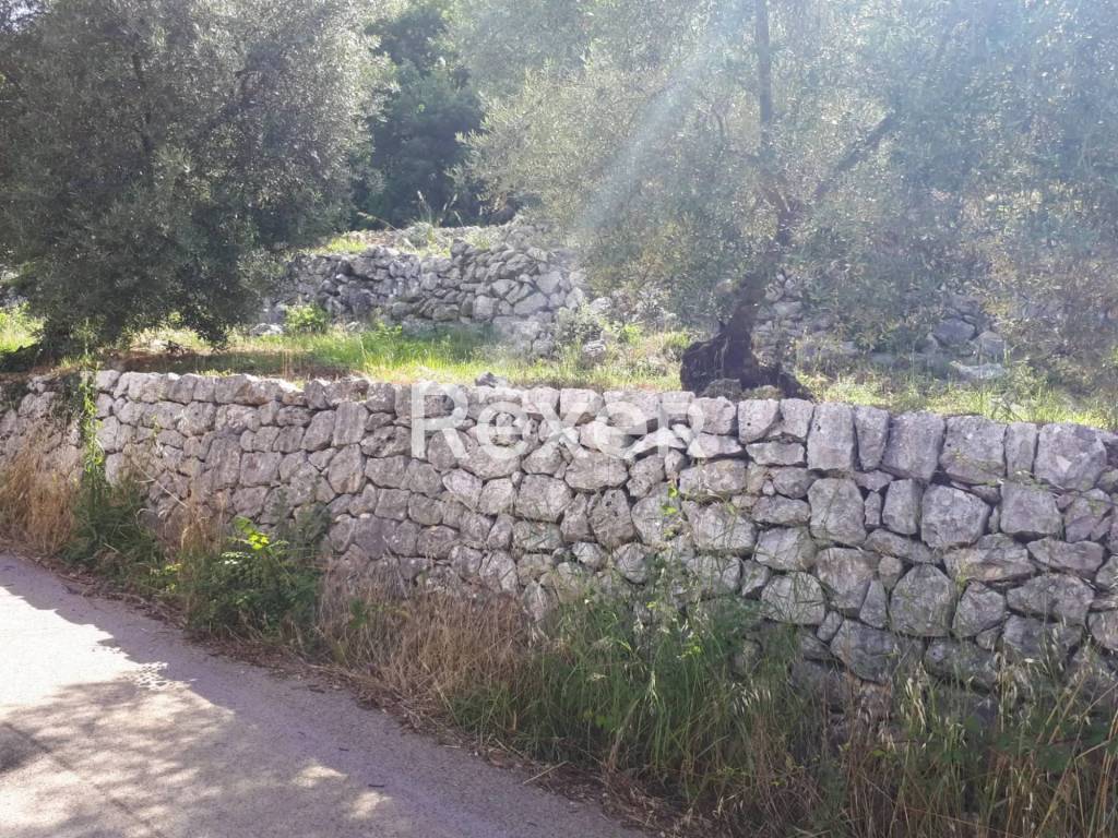 Rustico / casale a Ausonia in Via Rotondoli - Foto 4