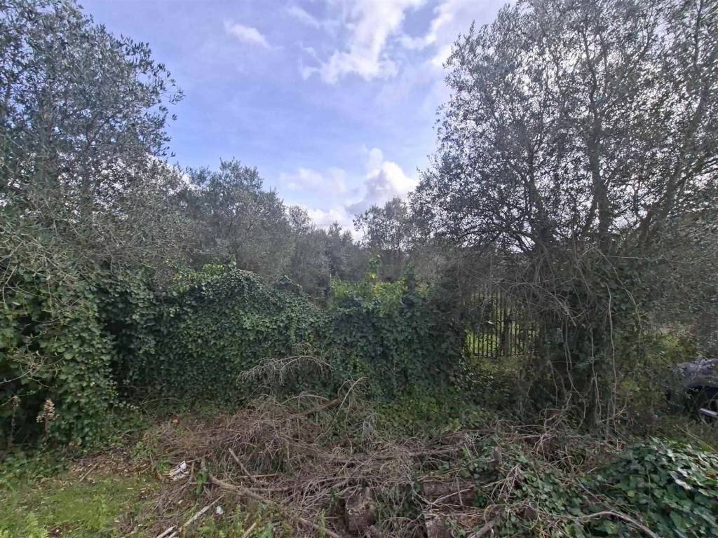 Terreno a Genzano di roma in VIA LANDI - Foto 2